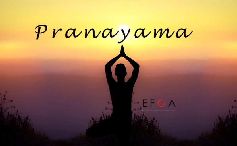 Le fondamenta di Pranayama